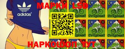 эйфоретик Можга