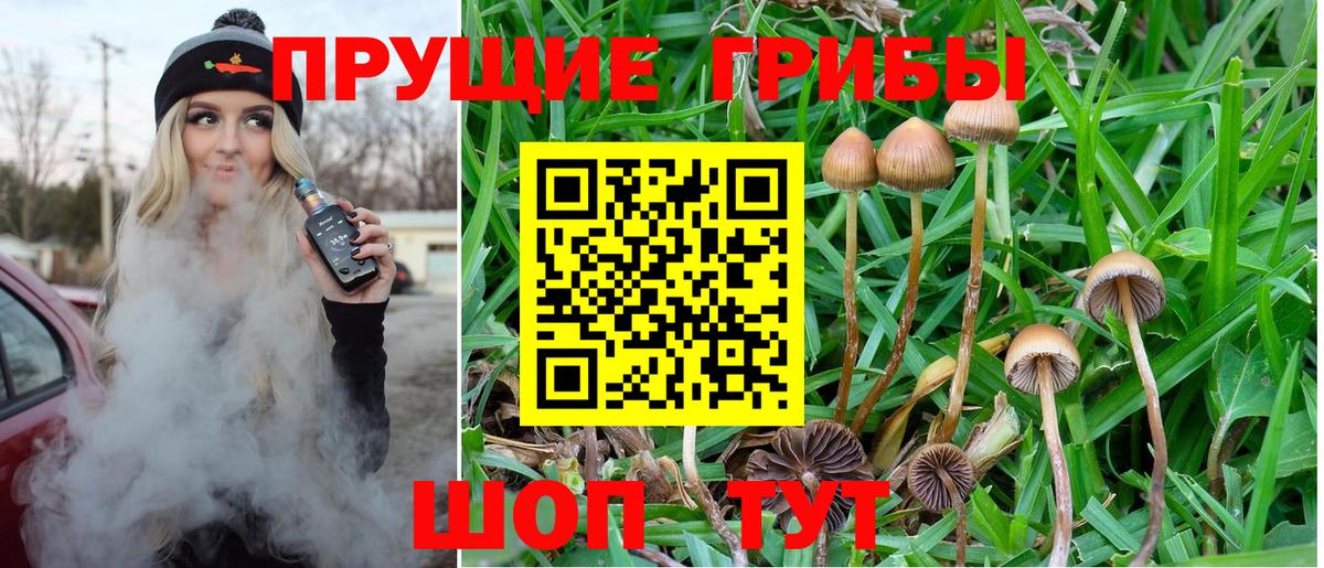 Псилоцибиновые грибы Magic Shrooms Волжский